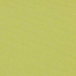 Rolgordijn 'Semi-transparant' (lichtdoorlatend) 72.1446 groen