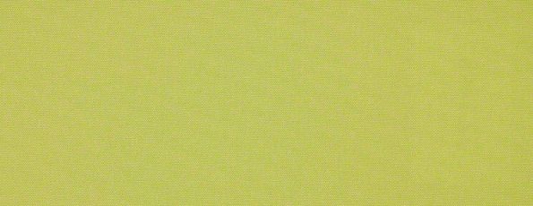 Rolgordijn 'Semi-transparant' (lichtdoorlatend) 72.1446 groen