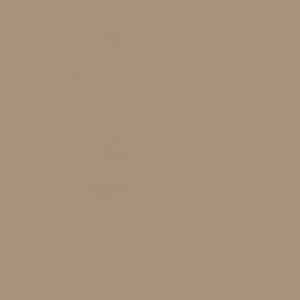 80.0021 – beige taupe