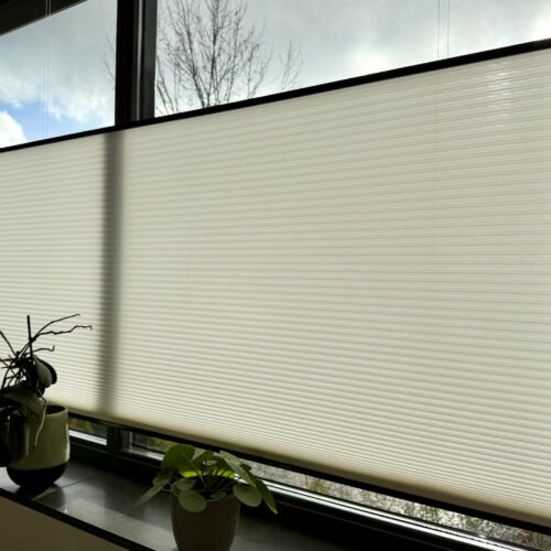 Plisse xl easypull 25 mm 72.0360 Raambekleding geschikt voor katten